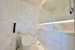 The Edge On Cairnhill (D9), Condominium #579182111